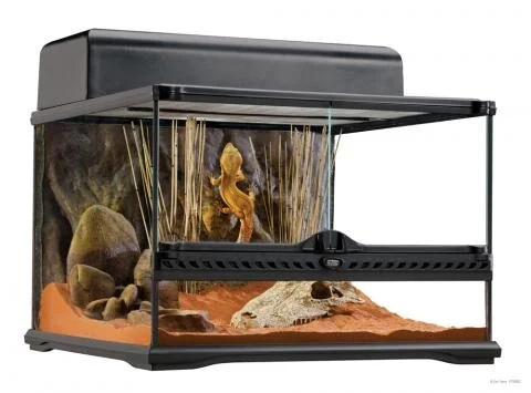 Tarantula Collection Tarantula Supplies — The Tarantula Collective