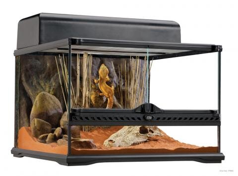Tarantula Supplies — The Tarantula Collective