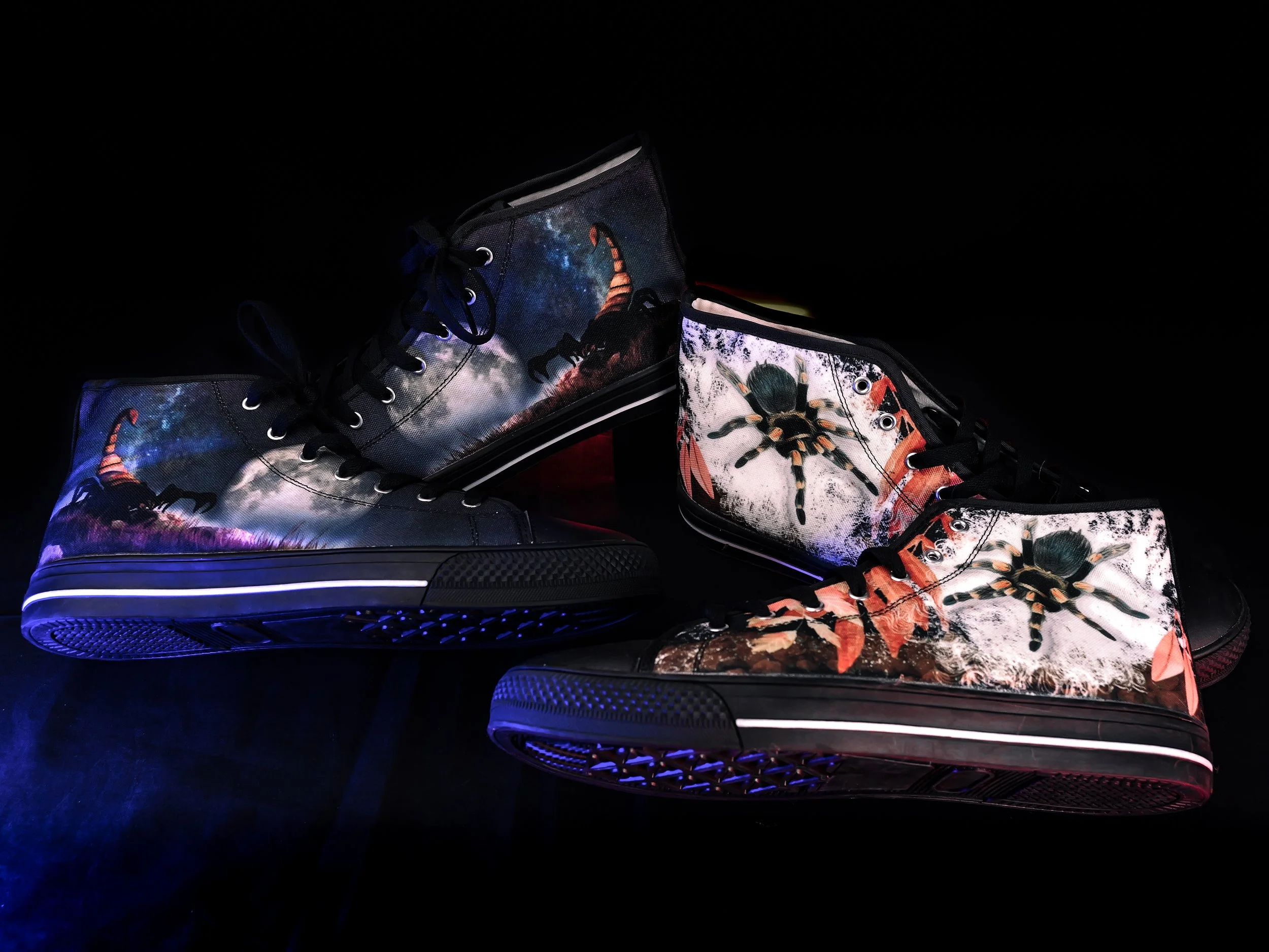 Tarantula Supplies — The Tarantula Collective