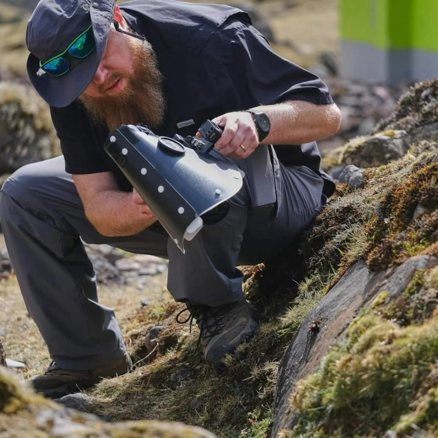 What’s New in Tarantula Science So Far in 2026?