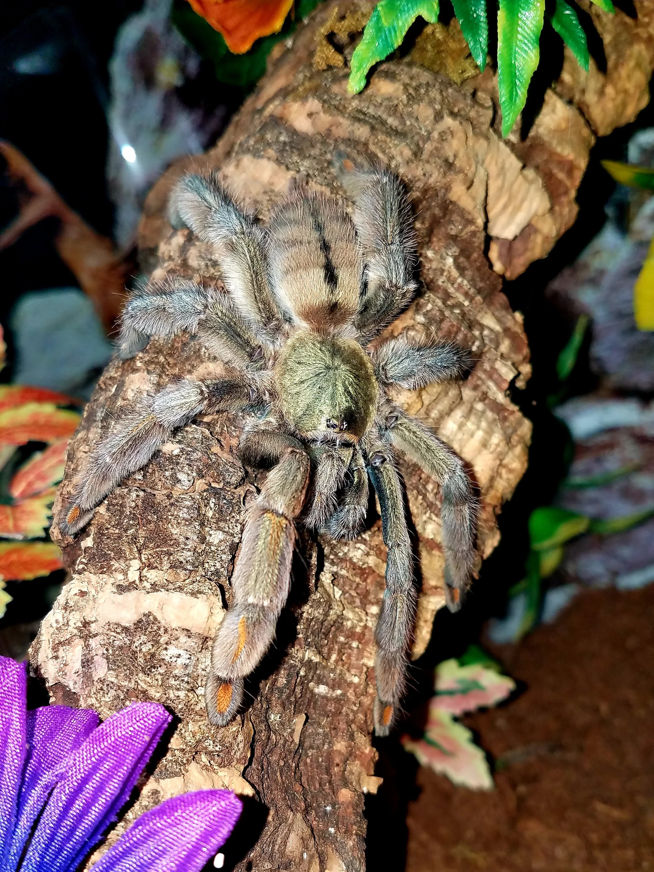 20180923_230420.jpg