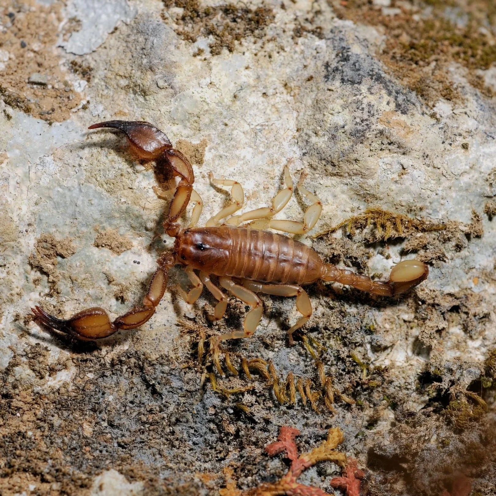 AdobeStock_651273243.jpg