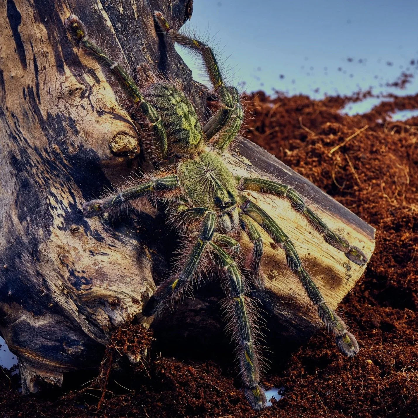 AdobeStock_82071594.jpg