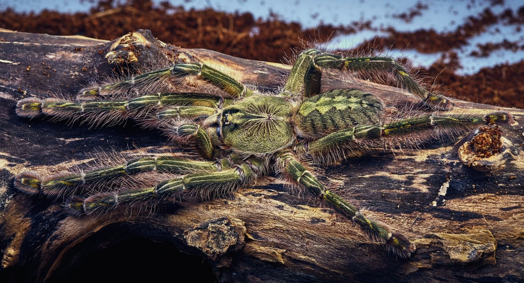 AdobeStock_82072303.jpg