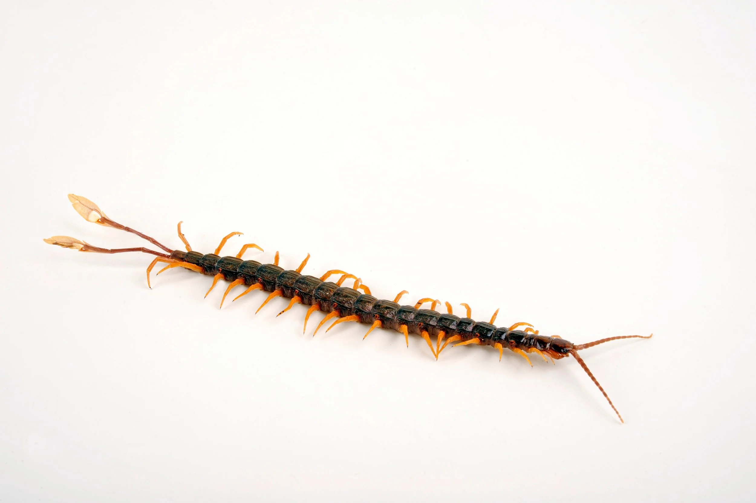 AdobeStock_234114042.jpeg