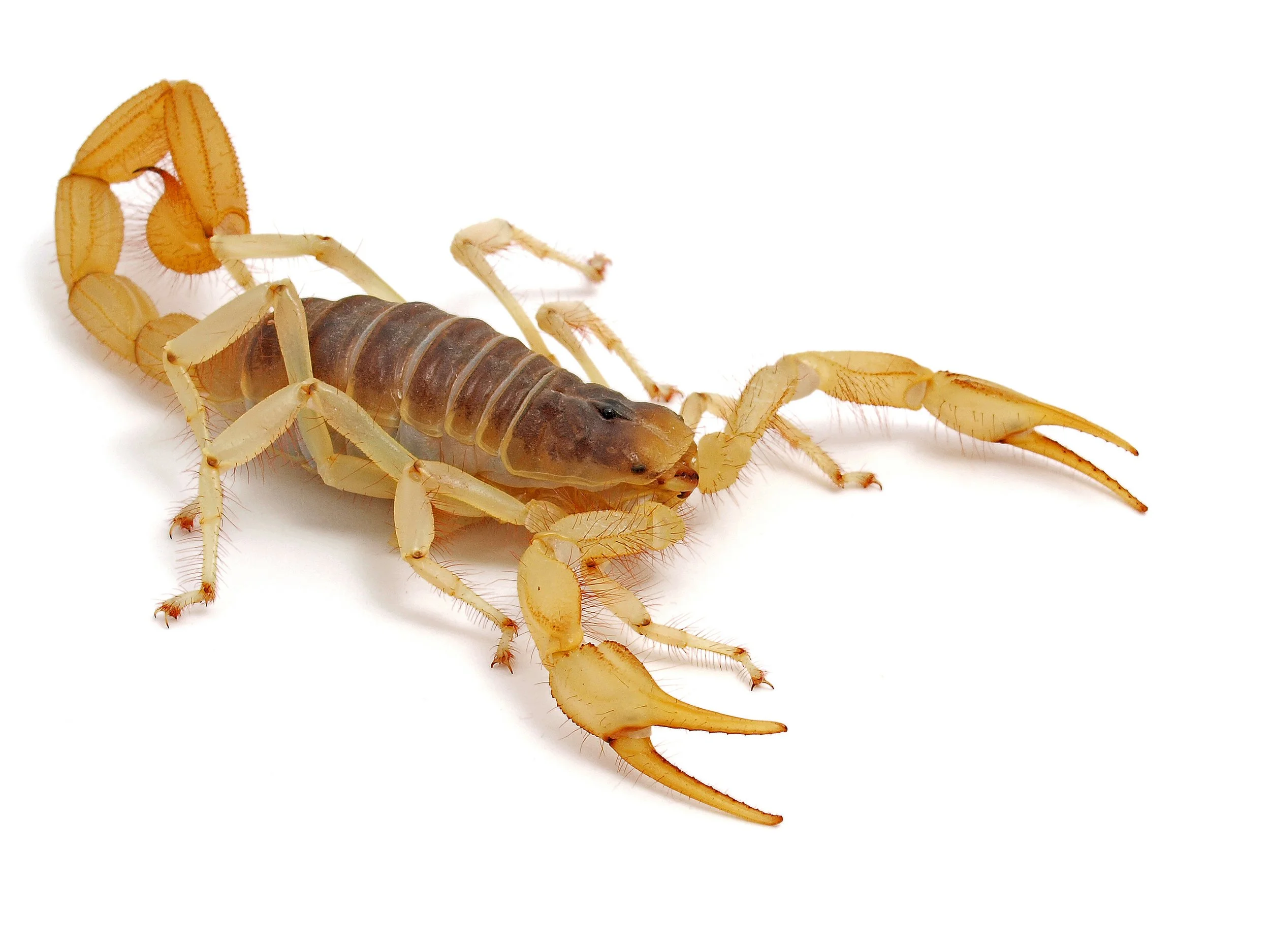 AdobeStock_277077338.jpeg