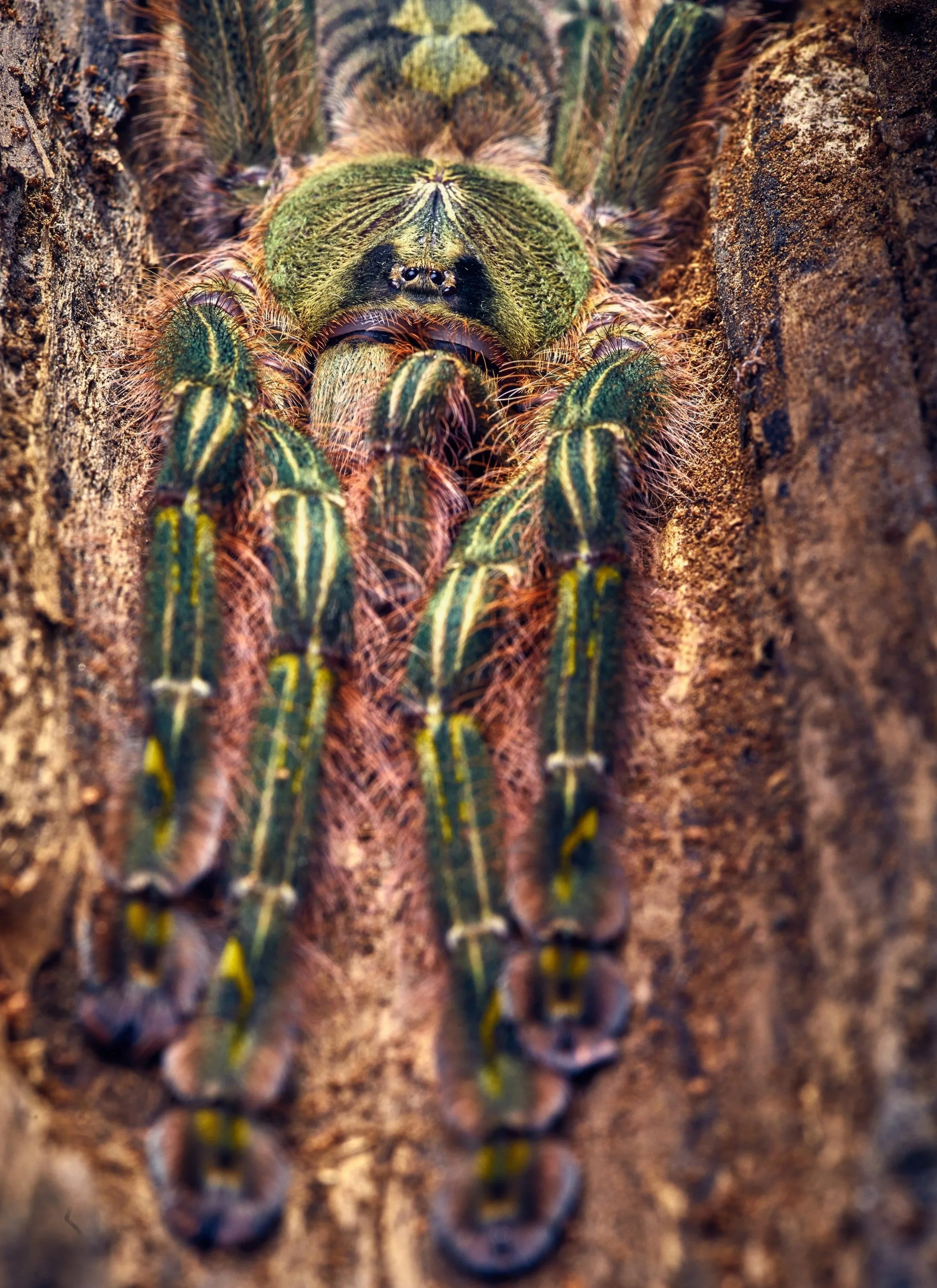 AdobeStock_82072216.jpg