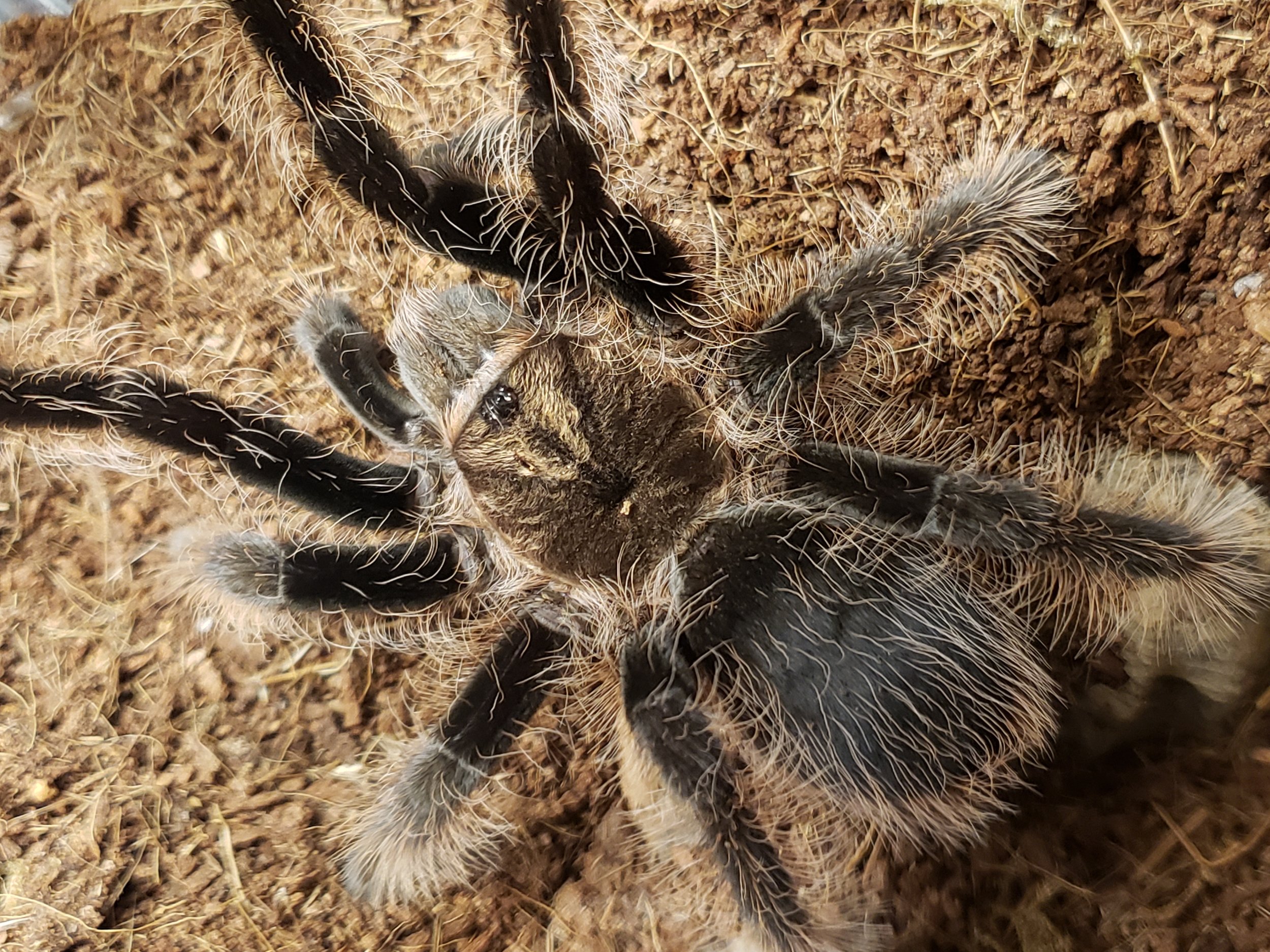 20190803_170139.jpg
