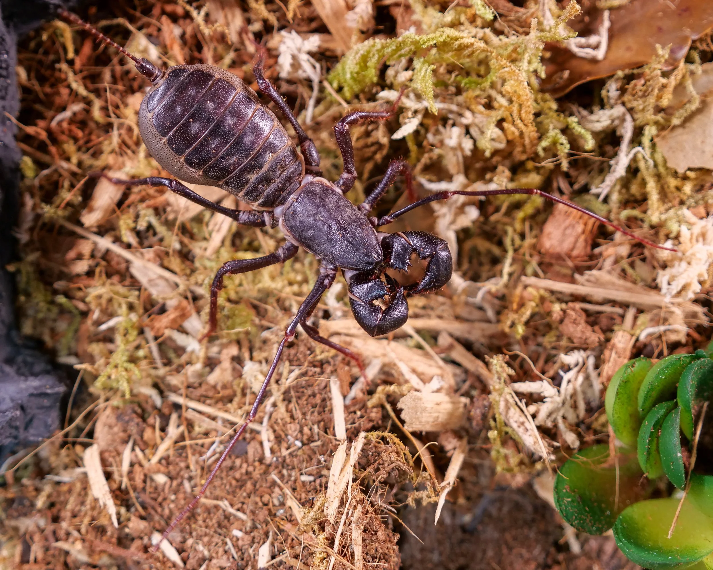 P1077215.jpg