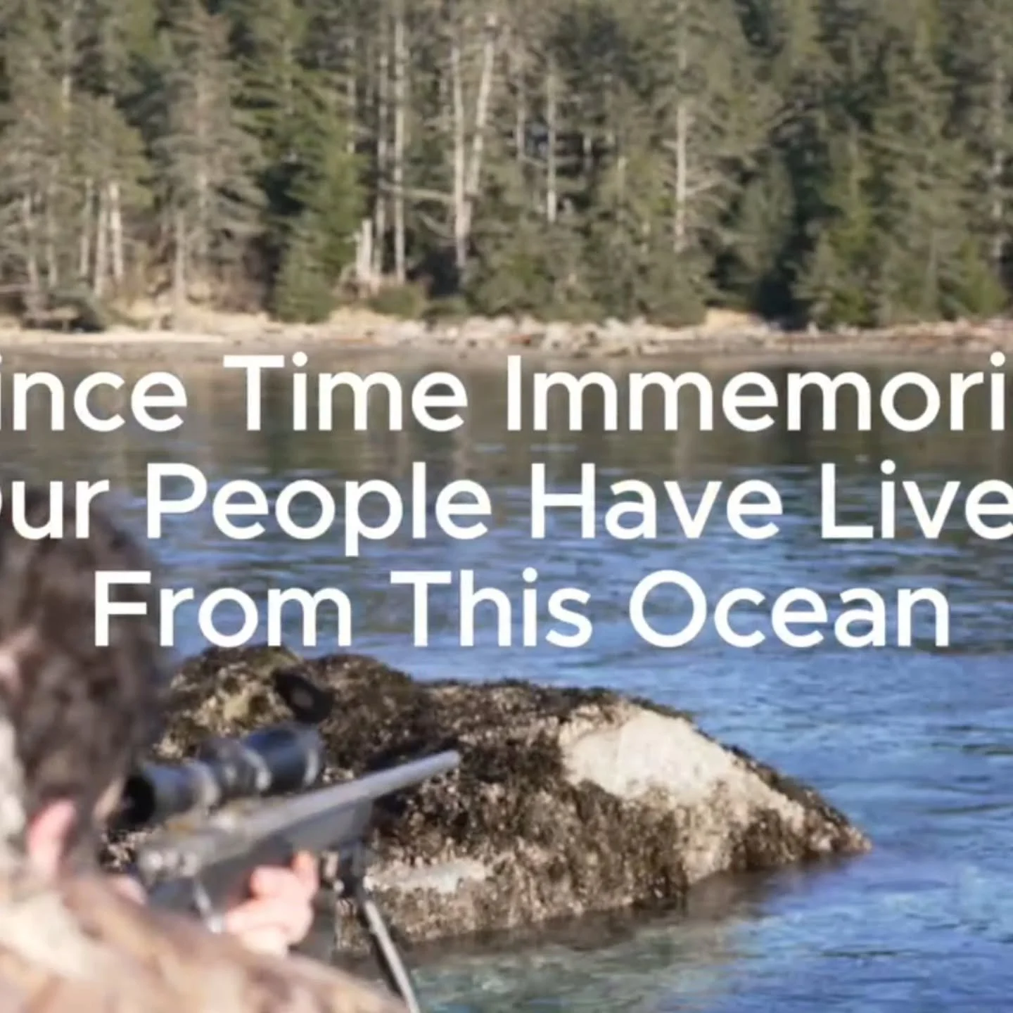 1-6 of 36, stay tuned for 7-12 tomorow.