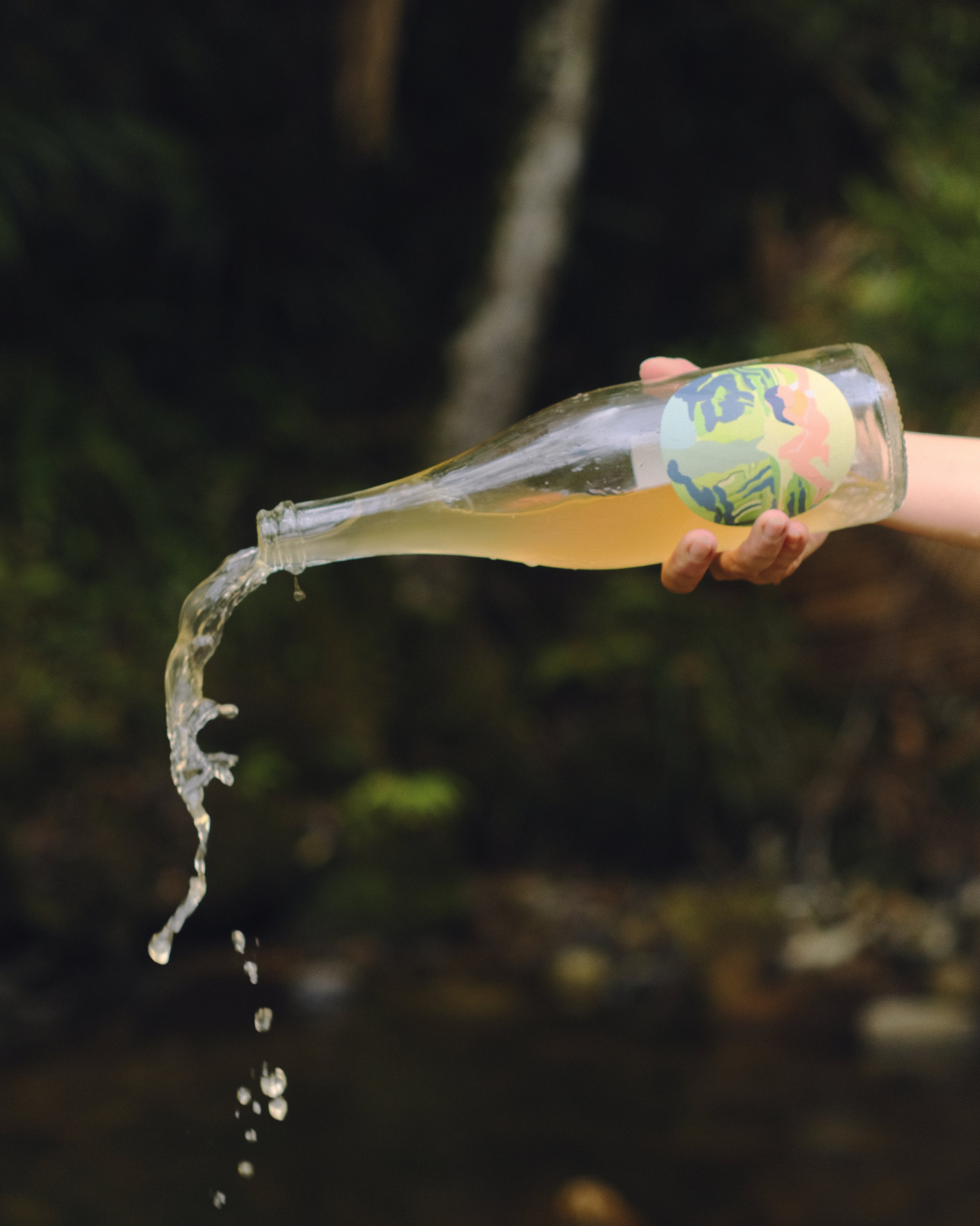 2023 Balmy Nights 'Fizz'