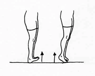Heel toe raises