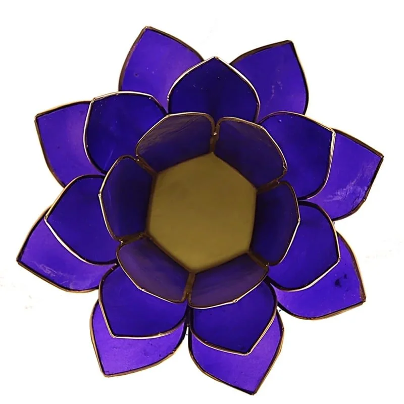 chakra 6 lotus.jpeg