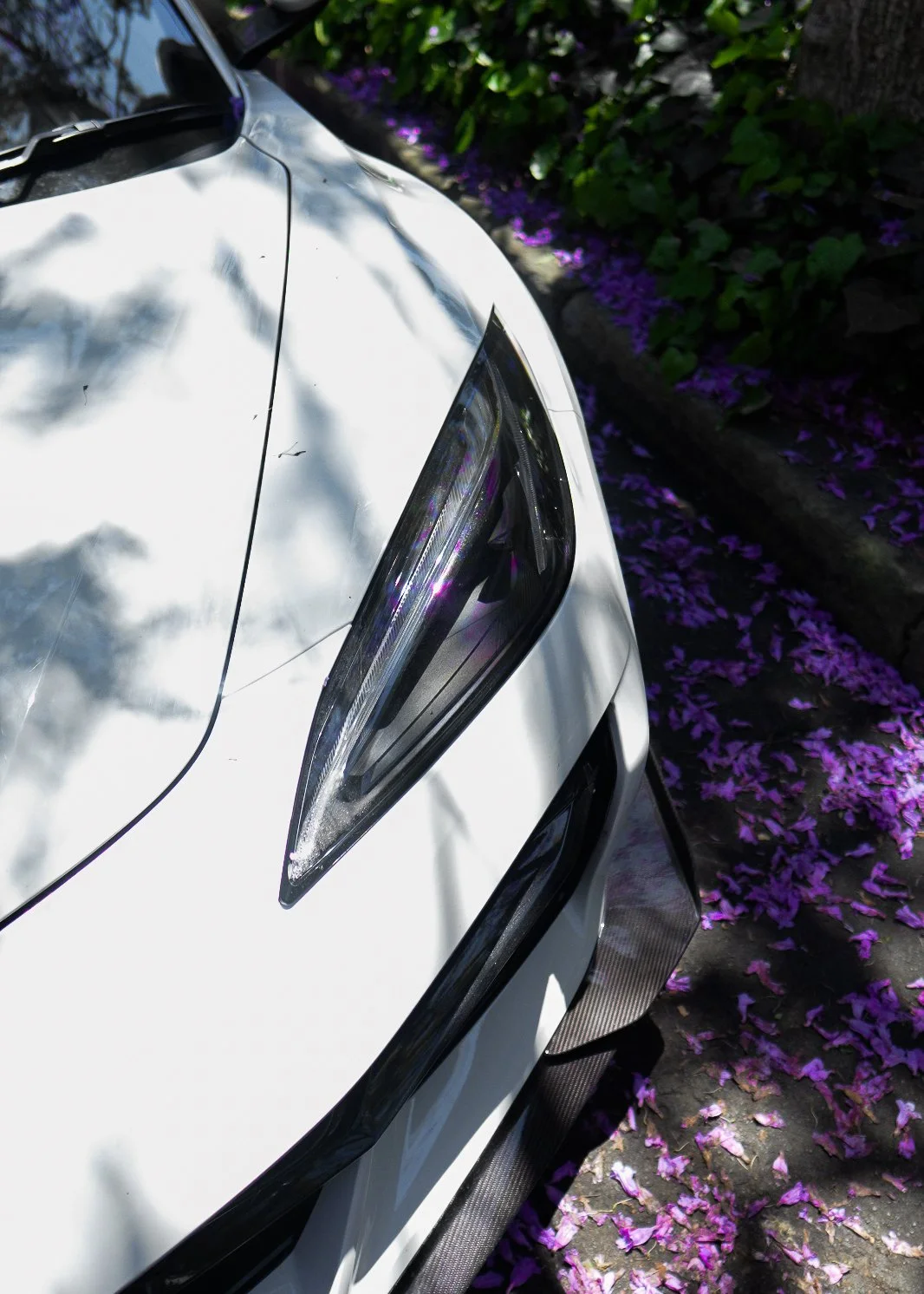 Screenshot 2024-12-11 at 12.02.28 pm.jpg