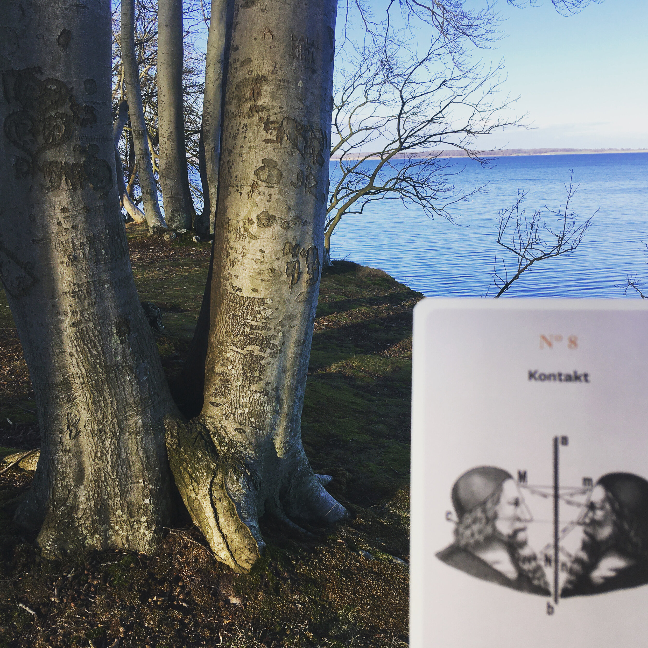 Nadja Pass: "No 8: Kontakt
En hyldest til de venskaber, hvor man er så tæt forbundet, at det føles som om man er to træer, der står så tæt sammen, at kronerne vokser ind i hinanden, og det er umuligt at se, hvor den ene begynder og den anden ender."