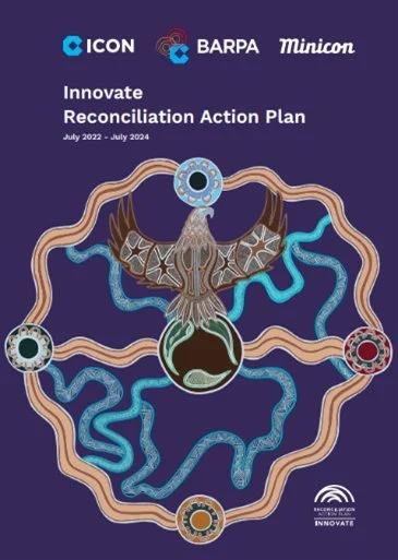 ICON Group - Project 2024 - 2024