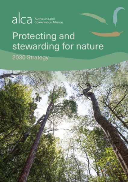 Cover of a document titled 'Protecting and stewarding for nature, 2030 Strategy' by the Australian Land Conservation Alliance, featuring a view of tall trees in a forest with a sunlight background.