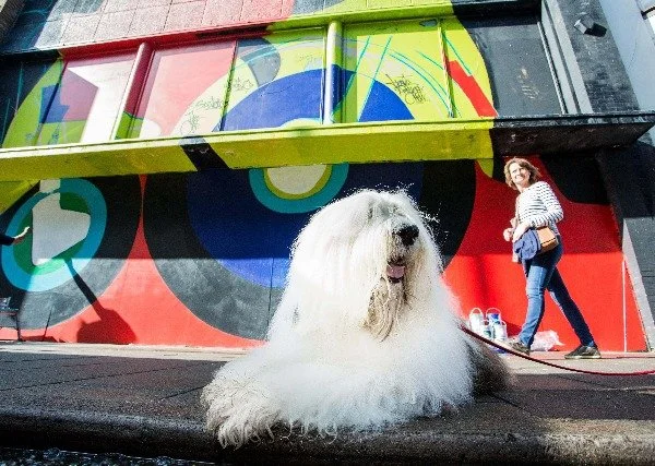 AkzoNobel appoints The Gate as creative B2B agency for EMEA