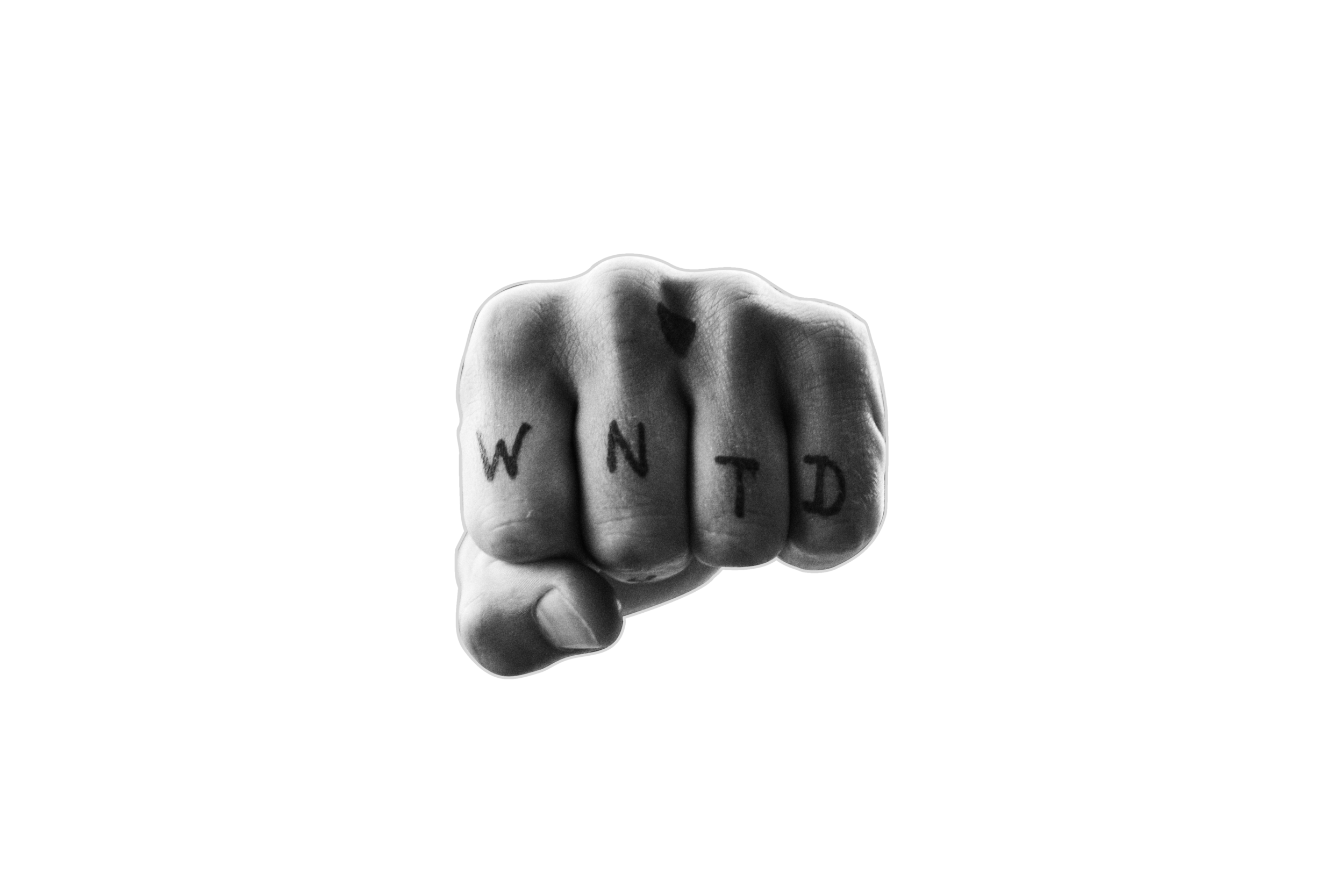 wntd-fist.PNG