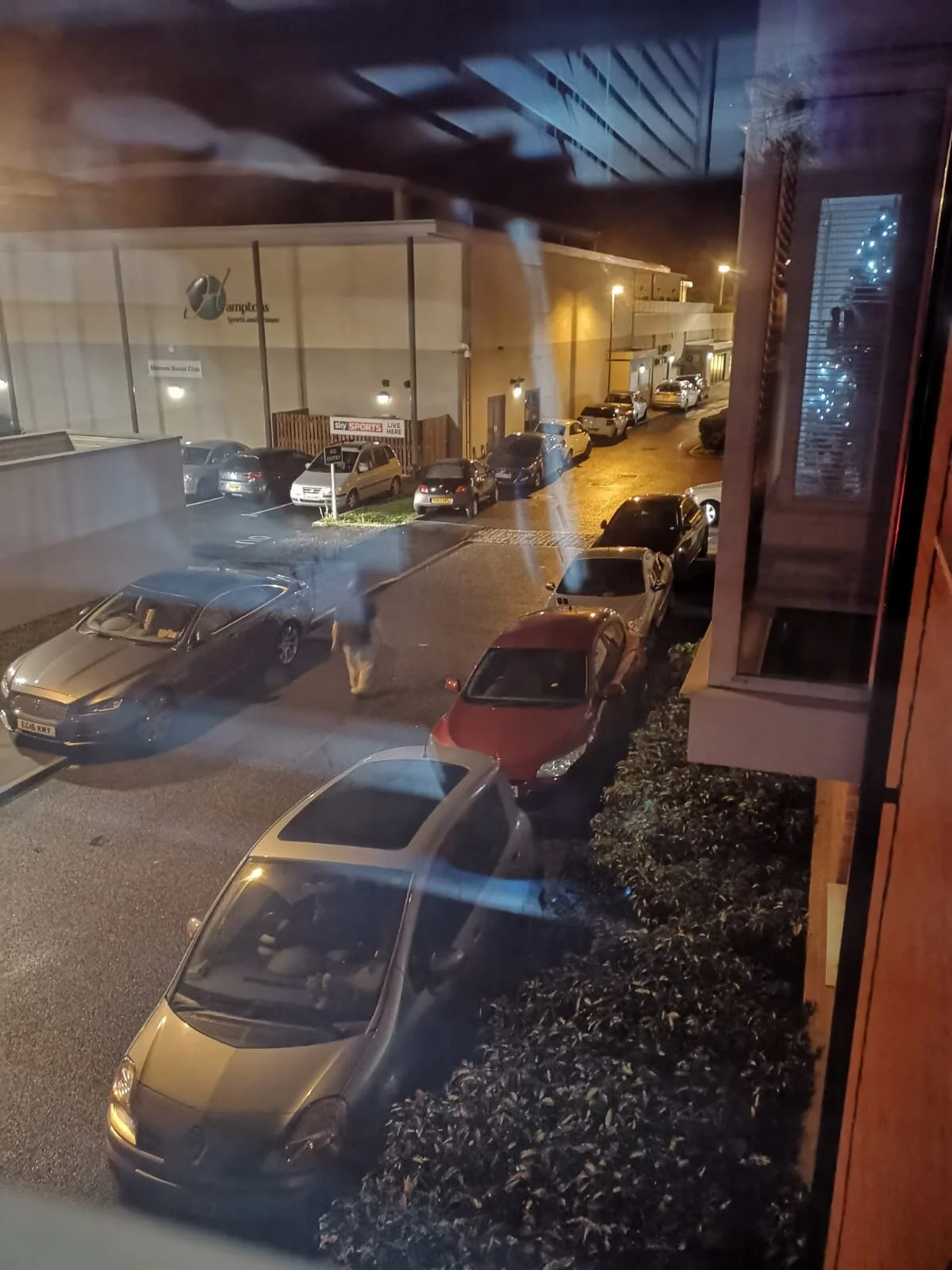 WhatsApp Image 2020-02-03 at 20.53.02 (1).jpeg