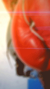 PFposter_ComMay31_9-16_15%.gif