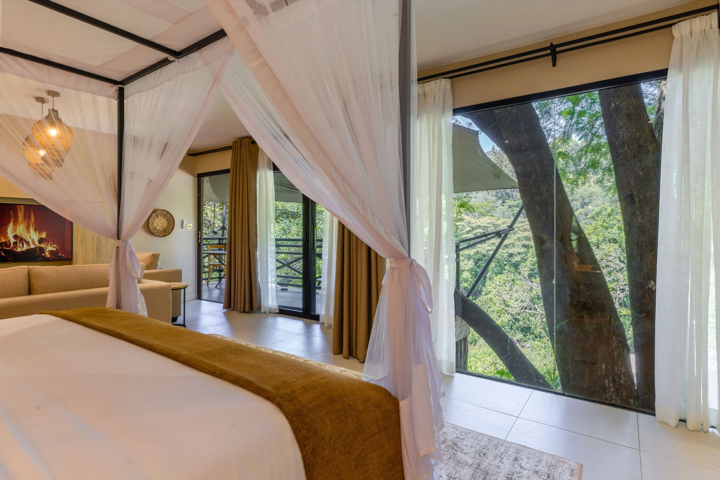 View From Inside Tent.jpg