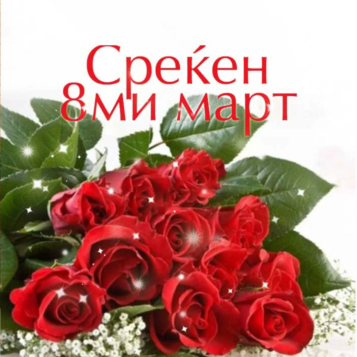 Со љубов, Спортинн 🥰