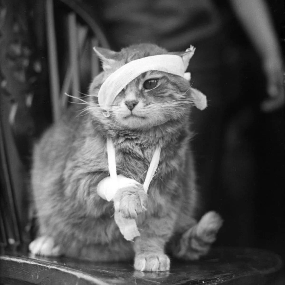 Те боли нешто? Не е крај на светот. Слушај си го телото и дојди да вежбаш паметно во СпортИнн. А кога сме кај вежбање, болки и такви работи читни го ова четиво https://www.sportinn.mk/blogmk/te-boli-ne-e-kraj-na-svetot