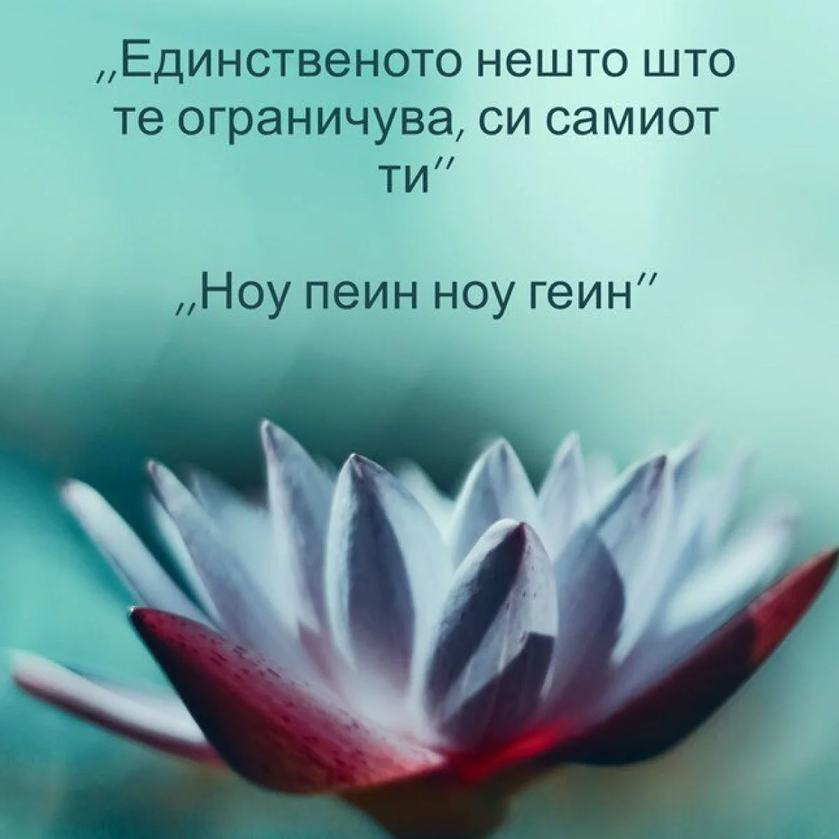 Не сме за тебе ако вакви мотивирачки реченици ти се топ. Не се лути, It's not us, It's you. А, ако случајно се насмеа онака под брк или преврте со очи - Хелоу, Хелоу мај олд френд. Елај во СпортИнн, и ти си за нас и ние сме за тебе. #несепреправај