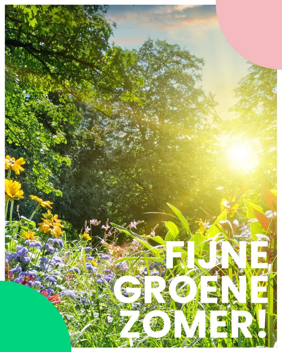 🌱 𝐆𝐫𝐨𝐞𝐧 𝐨𝐩 𝐯𝐚𝐤𝐚𝐧𝐭𝐢𝐞? 𝐕𝐞𝐫𝐠𝐞𝐞𝐭 𝐣𝐞 𝐭𝐮𝐢𝐧 𝐧𝐢𝐞𝐭! 

Ook wij Struikrovers gaan er even tussenuit deze zomer! Maar natuurlijk niet zonder eerst wat duurzame water tips te delen voor jouw (moes)tuin! Want terwijl jij op het str
