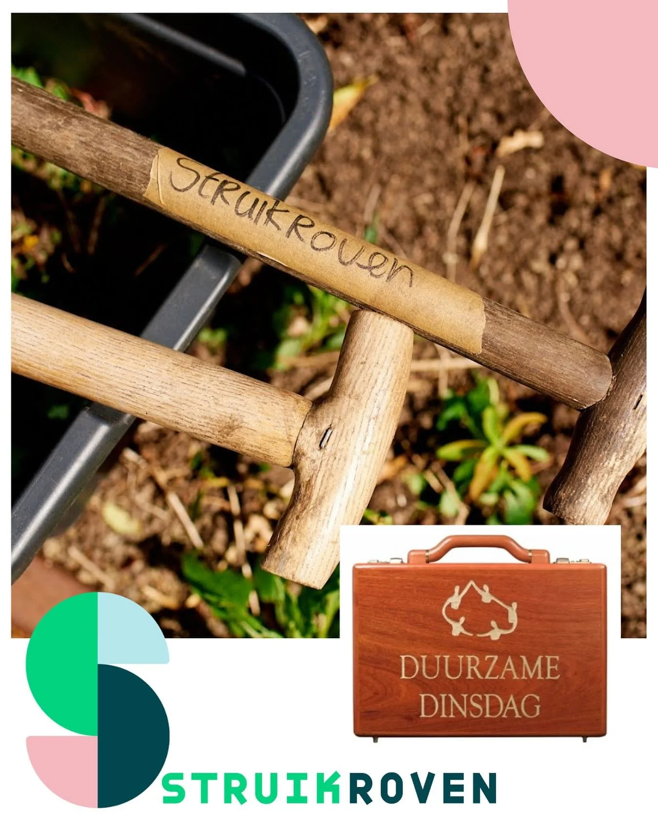 🌿 Samenwerking voor circulair groen: vandaag is het Duurzame Dinsdag 🌿

Vandaag, op Duurzame Dinsdag, vieren we duurzame initiatieven die het verschil maken. Een mooi moment om te benadrukken dat echte impact ontstaat in samenwerking tussen maatsch