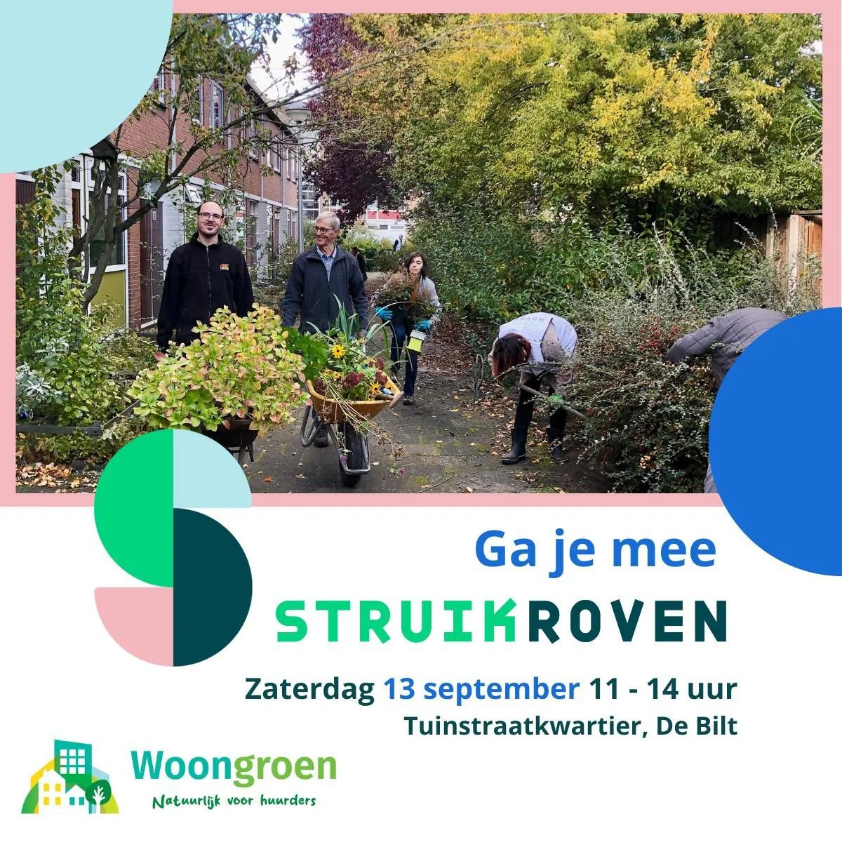 🌿🪏 𝗪𝗼𝗼𝗻 𝗷𝗲 𝗶𝗻 (𝗱𝗲 𝗯𝘂𝘂𝗿𝘁 𝘃𝗮𝗻) 𝗗𝗲 𝗕𝗶𝗹𝘁? 𝗞𝗼𝗺 𝗺𝗼𝗿𝗴𝗲𝗻 𝗦𝘁𝗿𝘂𝗶𝗸𝗿𝗼𝘃𝗲𝗻! 

In 54 voor &amp; achtertuinen staat ongelooflijk veel groen. Dus zoek je nog een (klim)roos, kardinaalsmuts, geranium, sedum, hortensia, wij