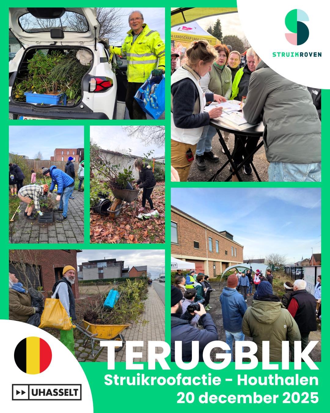 🌿 𝗣𝗿𝗶𝗺𝗲𝘂𝗿 𝗶𝗻 𝗕𝗲𝗹𝗴𝗶&euml;: 𝗲𝗲𝗿𝘀𝘁𝗲 𝘀𝘁𝗿𝘂𝗶𝗸𝗿𝗼𝗼𝗳𝗮𝗰𝘁𝗶𝗲 𝗼𝗼𝗶𝘁!

Afgelopen weekend trokken vijf Nederlandse Struikrovers naar Houthalen-Helchteren voor een bijzondere reddingsactie. Voor het eerst stak Stichting Struikr