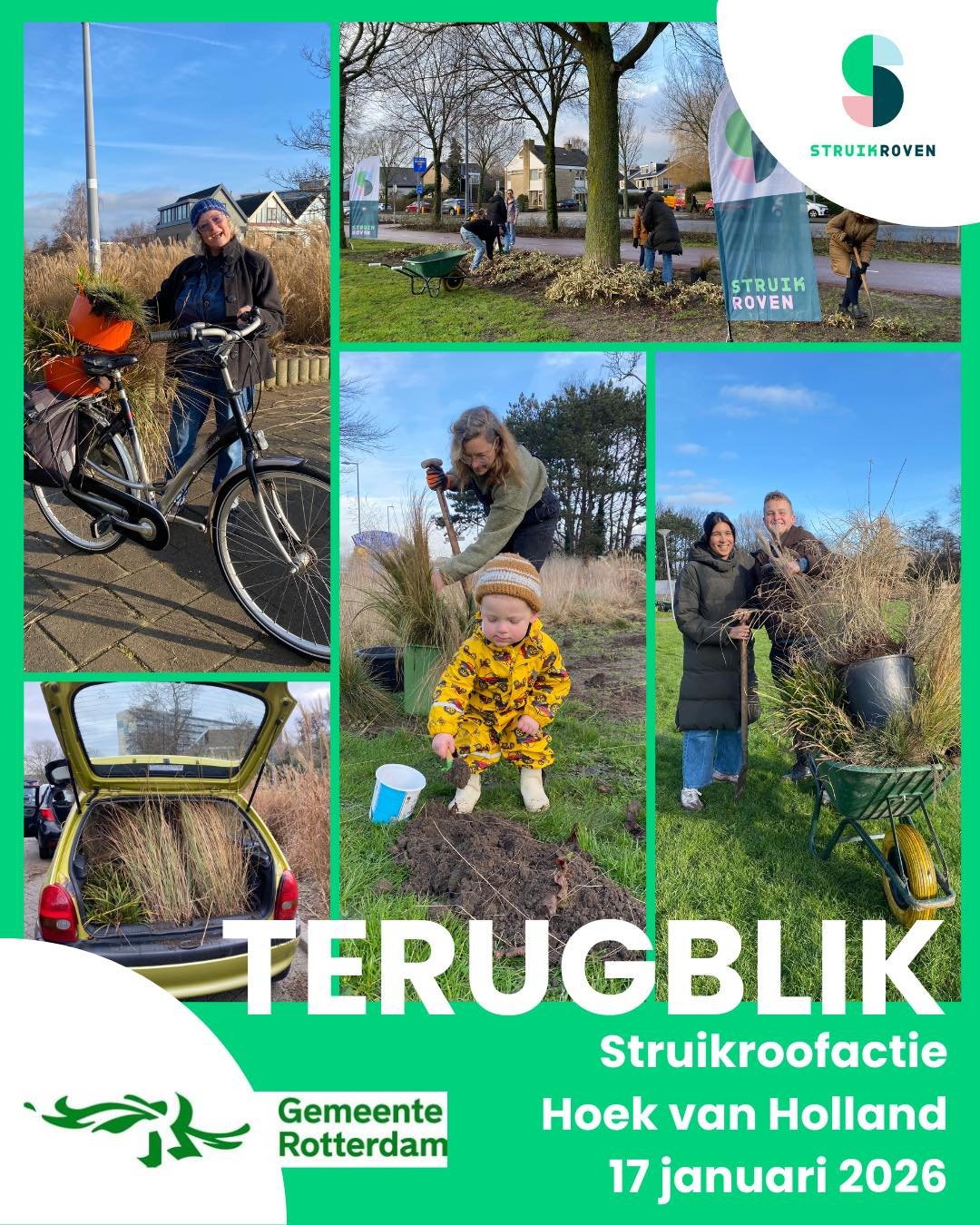 🎉 𝗙𝗲𝗲𝘀𝘁𝗷𝗲 𝗶𝗻 𝗵𝗲𝘁 𝗽𝗮𝗿𝗸 𝗶𝗻 𝗱𝗲 𝗣𝗿𝗲𝘀𝗶𝗱𝗲𝗻𝘁𝗲𝗻𝘄𝗶𝗷𝗸 𝗶𝗻 𝗛𝗼𝗲𝗸 𝘃𝗮𝗻 𝗛𝗼𝗹𝗹𝗮𝗻𝗱!

Tussen de 80 en 100 struikrovers kwamen afgelopen zaterdag enthousiast Koninginnenkruid, Pimpernel, Duizendknoop (niet de Japanse!),