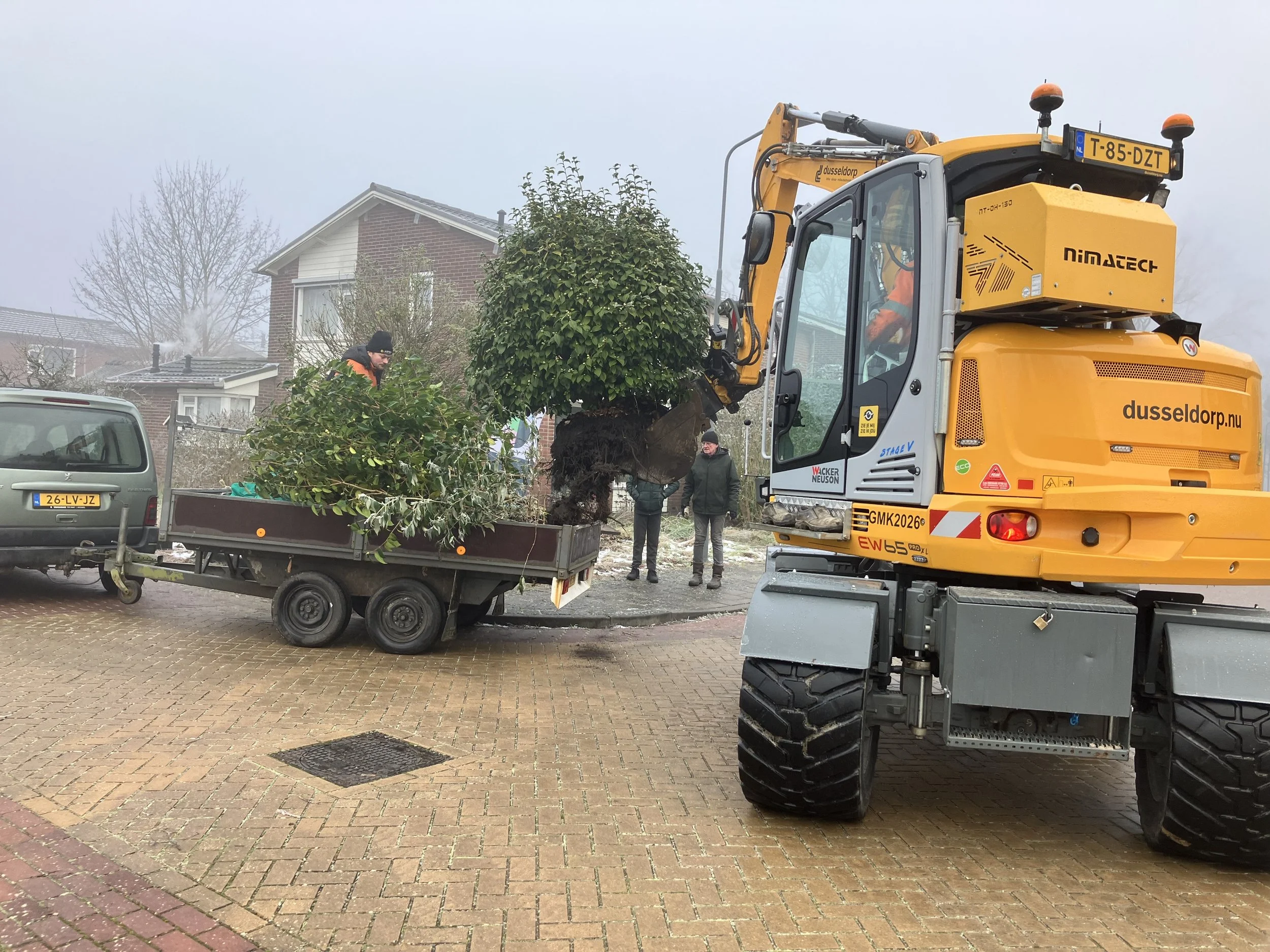 Kraan Dusseldorp met grote camelia.jpeg