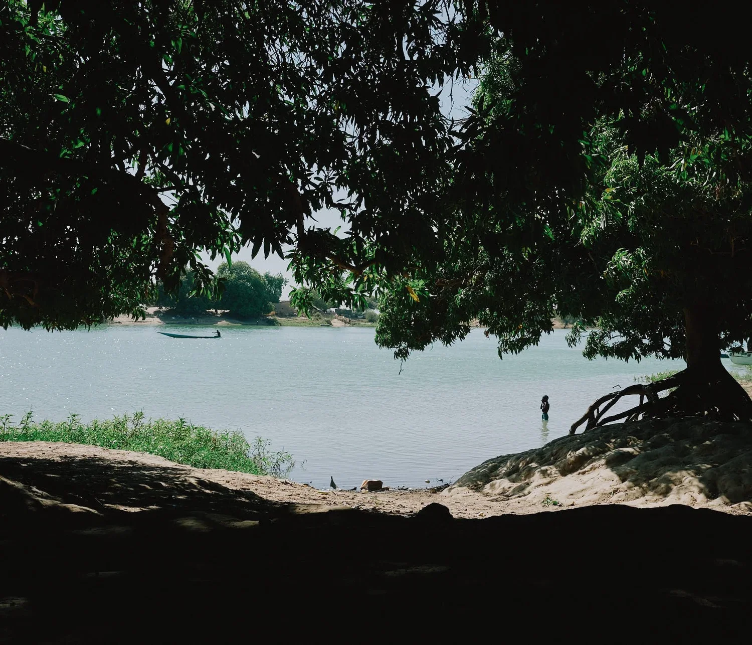 DSCF4464.jpg.webp