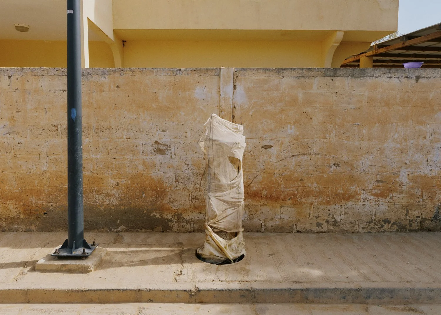 A weathered brick wall with a yellow building above, featuring a young tree protected from the sun with a makeshift shelter on a pavement / sidewalk