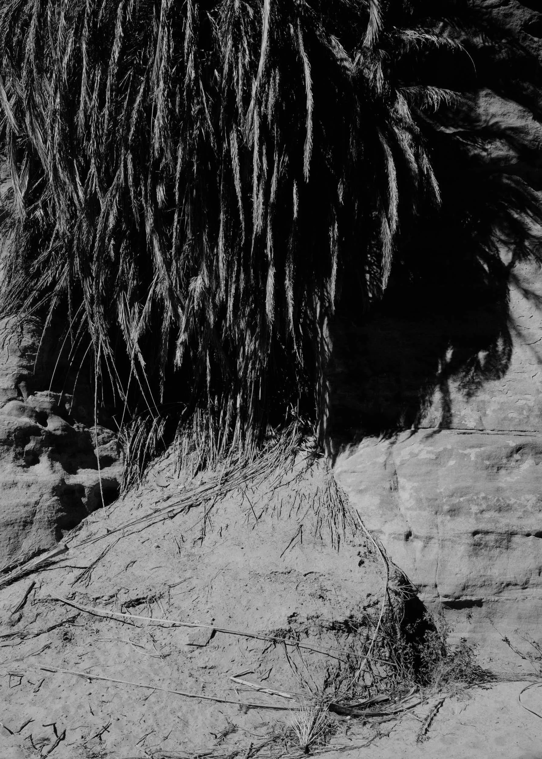 #012, 2024
50x70cm
Gelatin Silver print