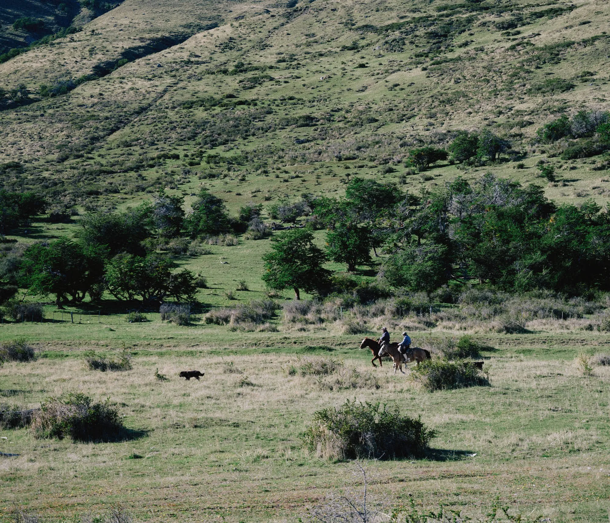 _DSF0108.jpg
