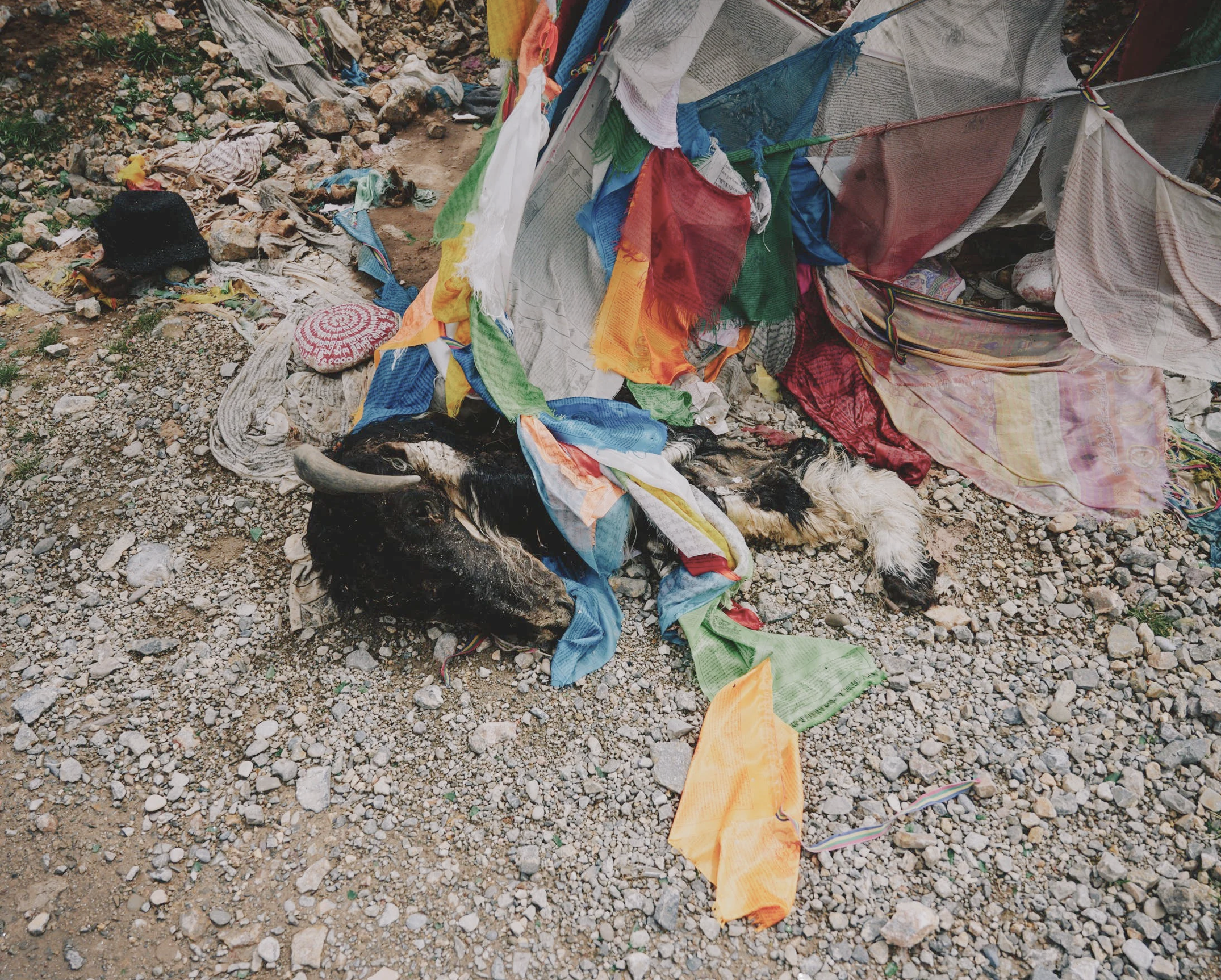 Screenshot 2026-02-27 at 17.01.45.png