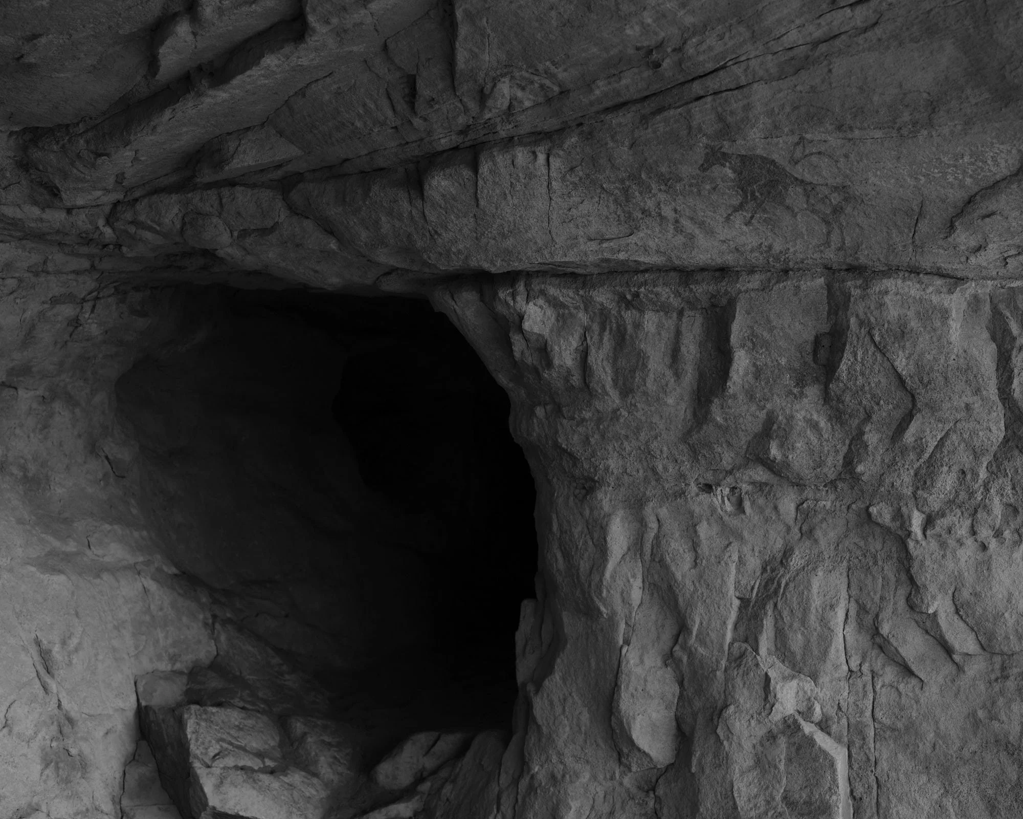 DSCF7325.jpg