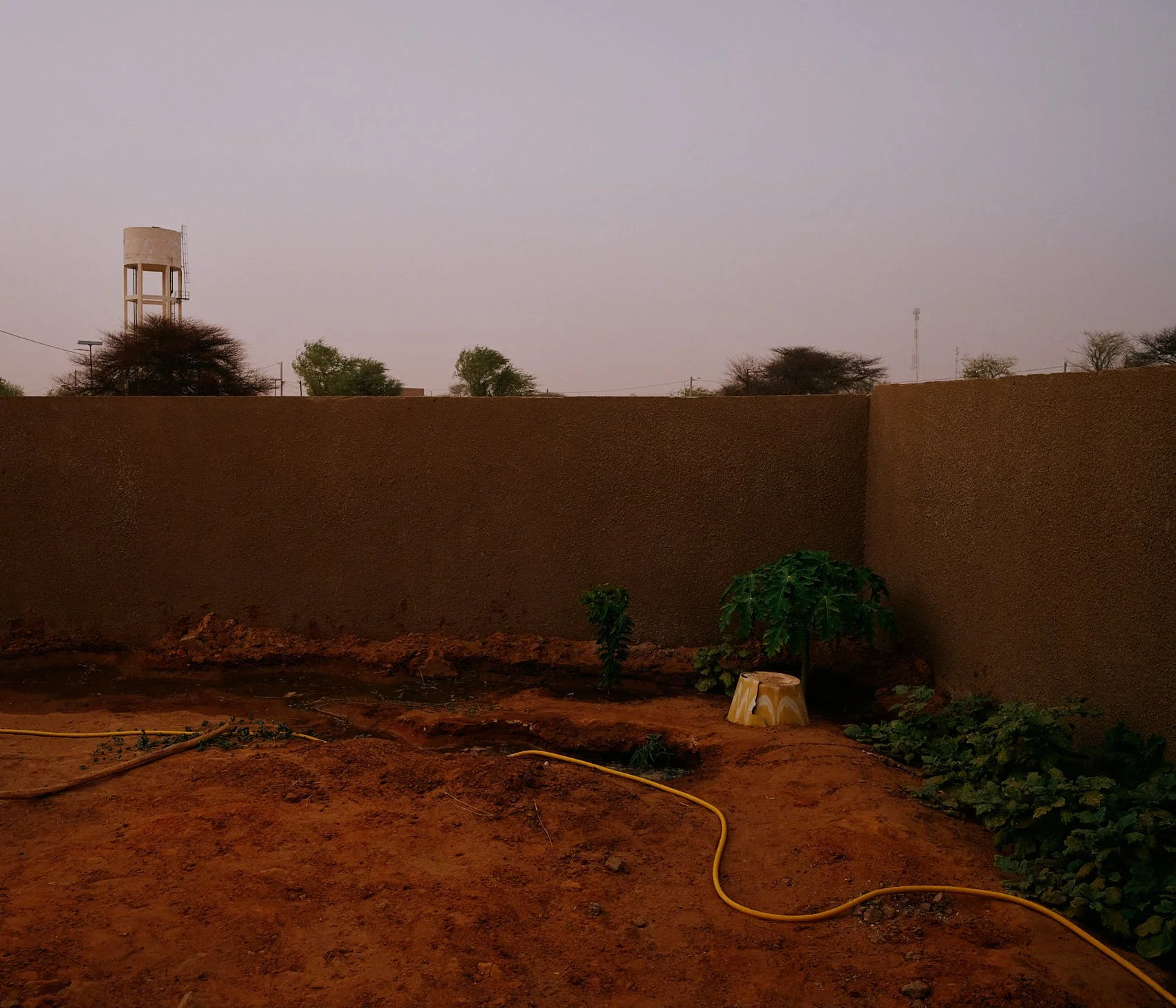 _DSF0446 1.jpg