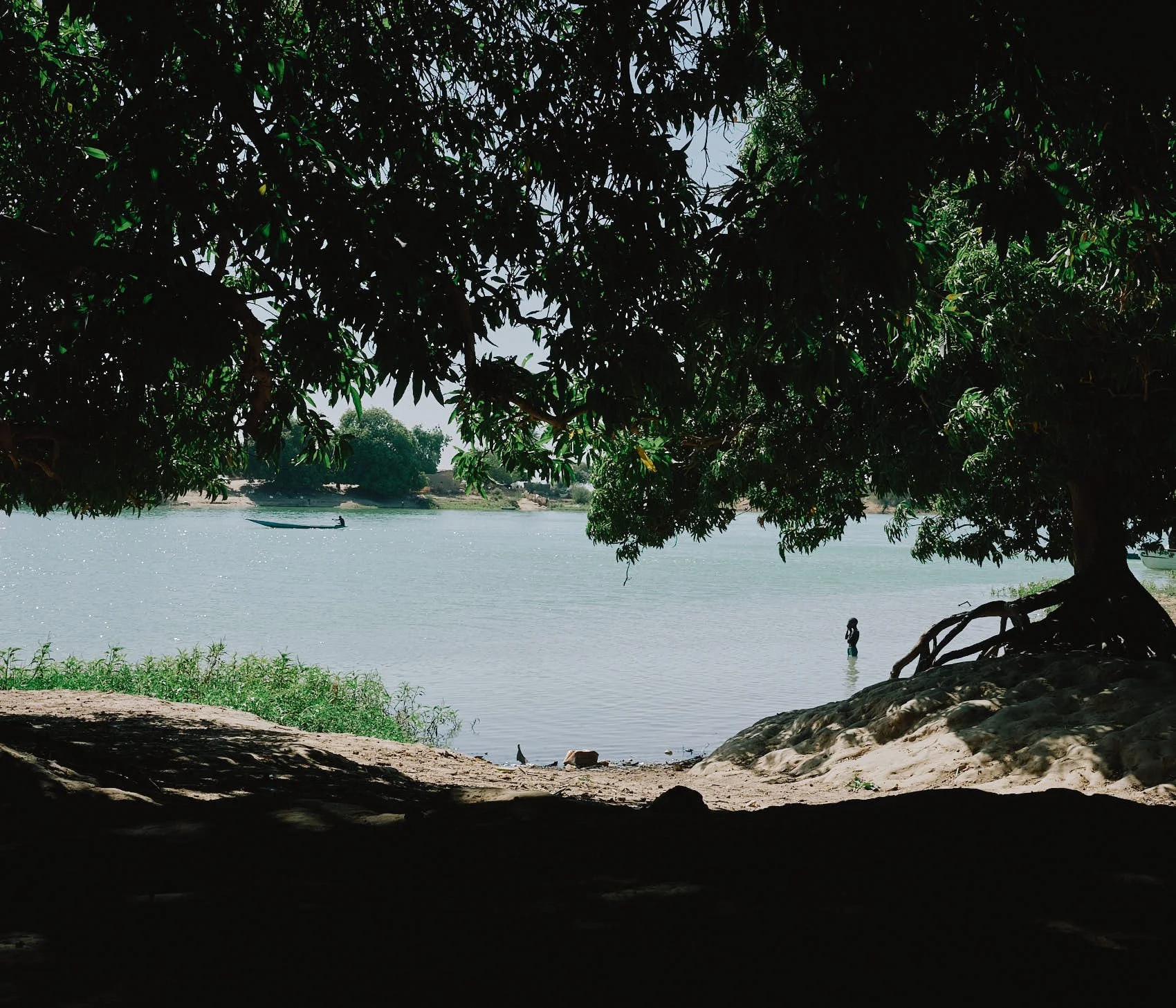 DSCF4464.jpg