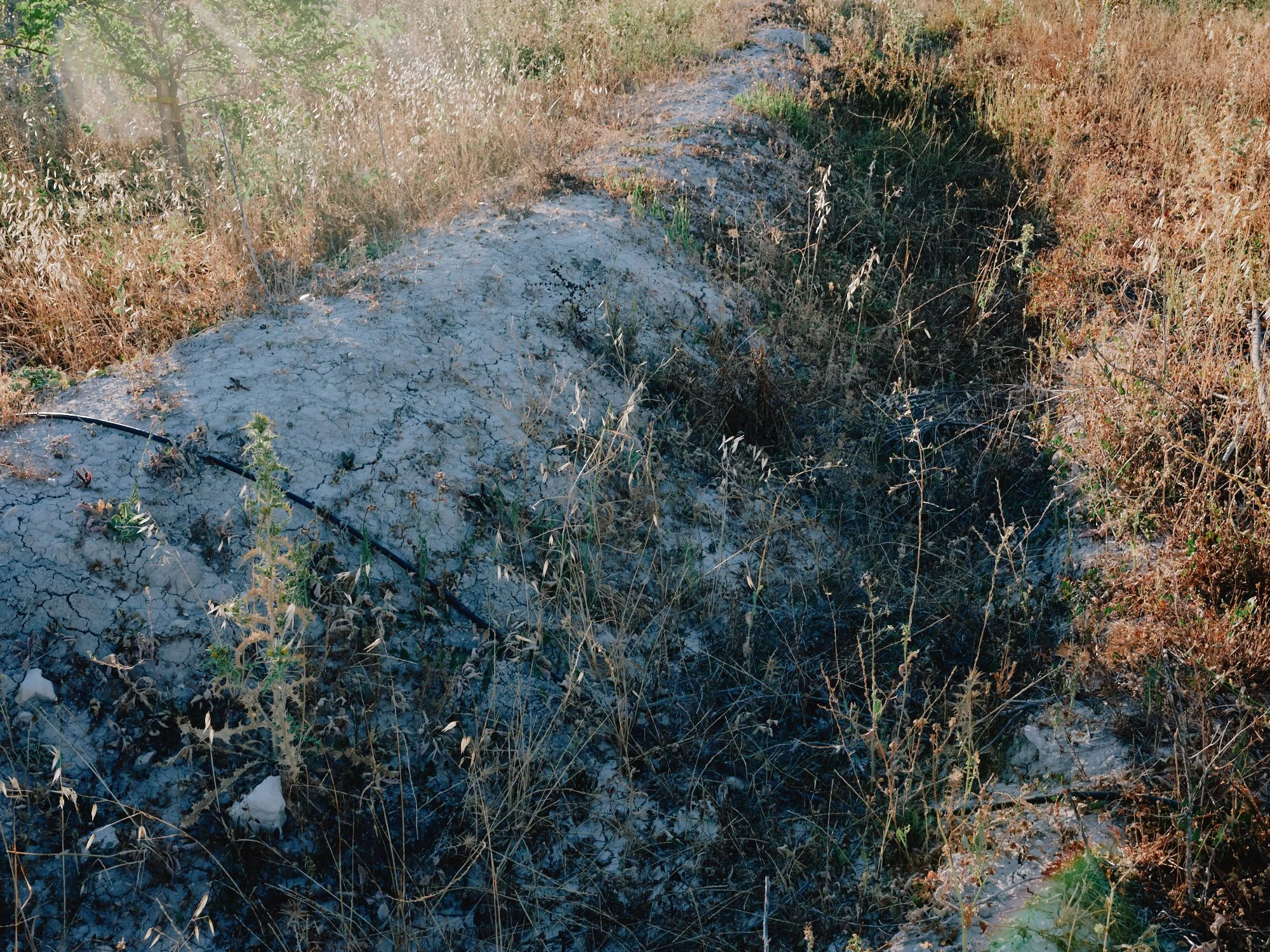 DSCF2202.jpg