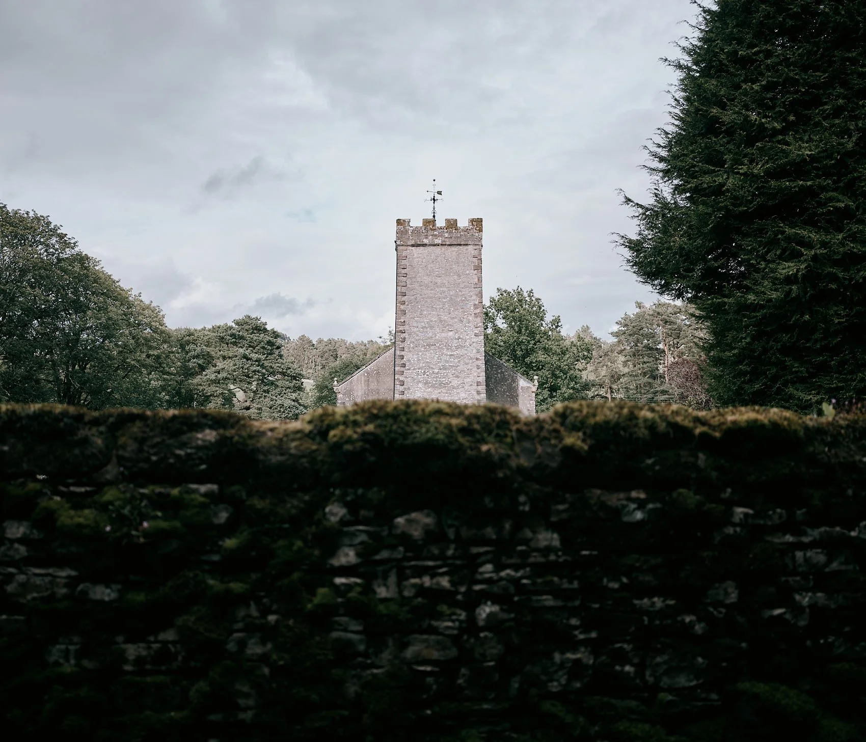 DSCF3555.jpg