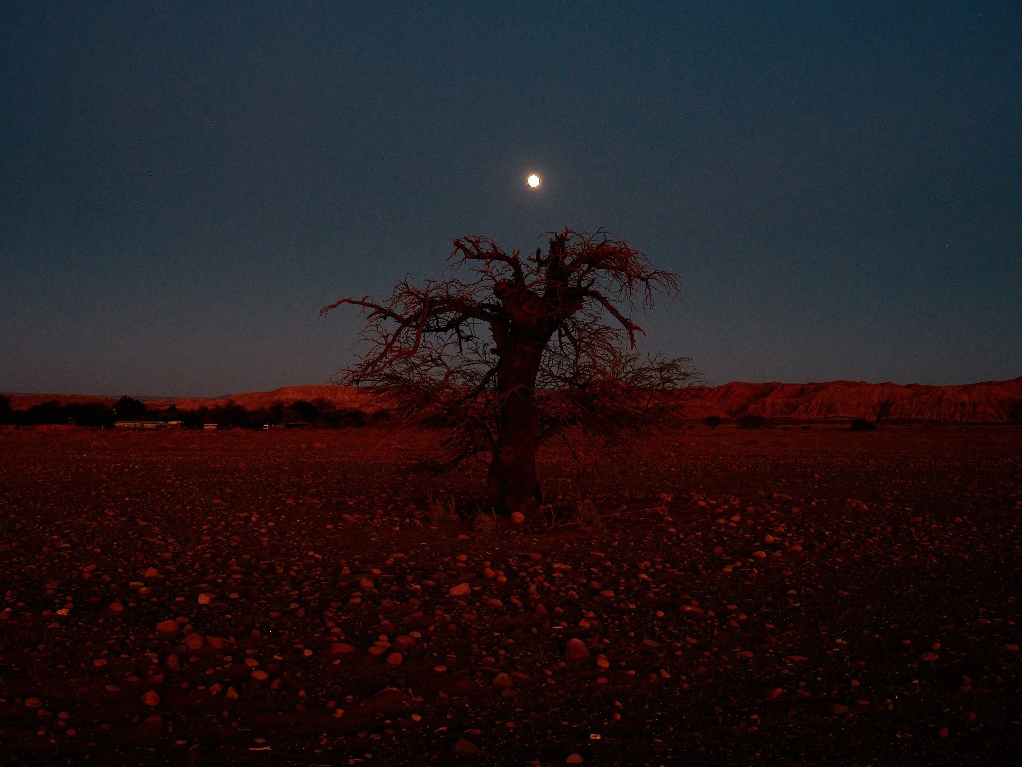 _DSF0017.jpg