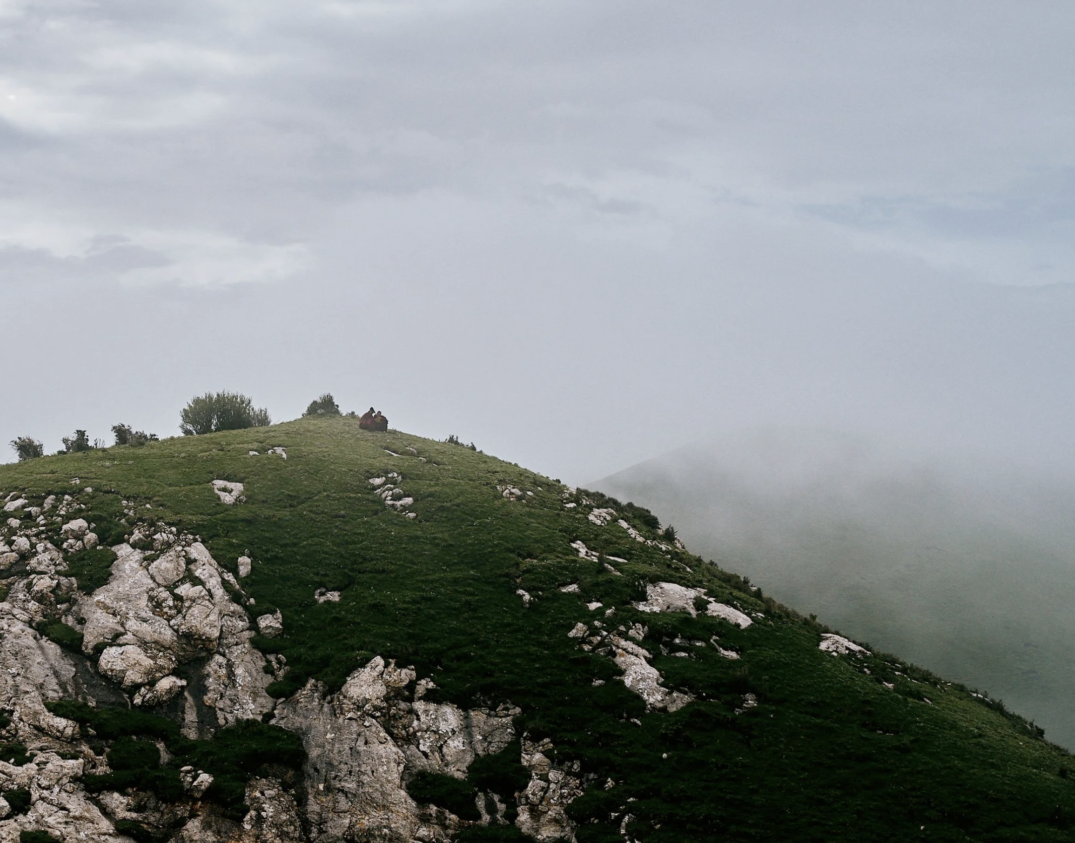 Screenshot 2026-02-27 at 17.02.09.png