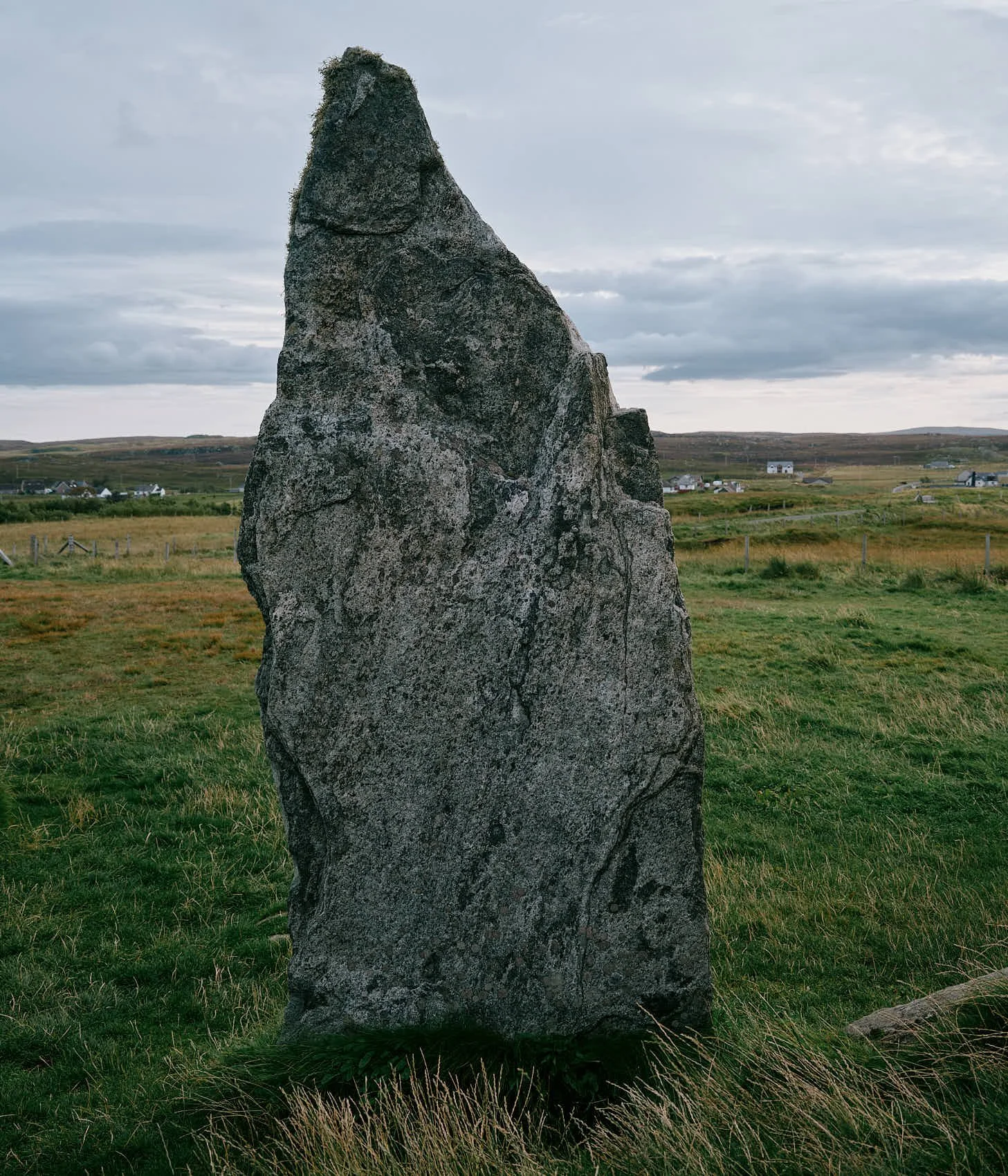 _DSF0164.jpg