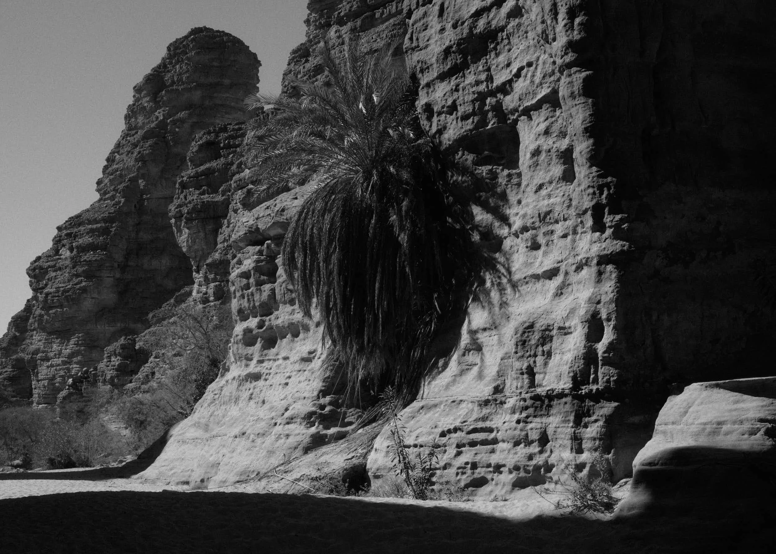 #002, 2024
50x70cm
Gelatin Silver print