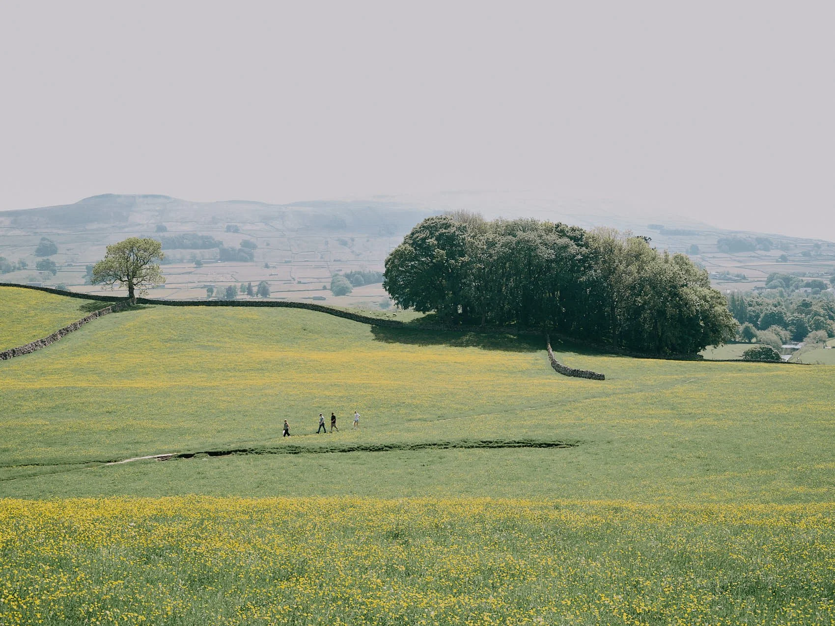 _DSF0053.jpg